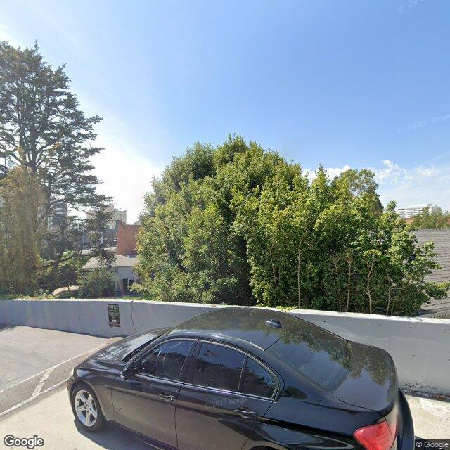 Street view near HCM-406 Magic Castle parcel showing the mature canopy concealing the mansion from Franklin Avenue.